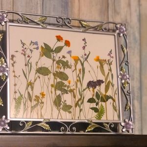 Pressed flowers framed